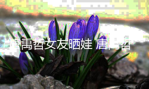 唐禹唐禹胎了吗友晒哲女哲二娃