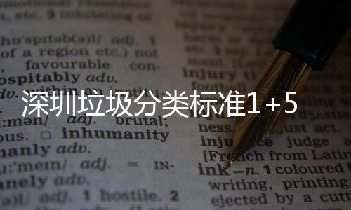 桶摆图标准分类分类放及垃圾5六垃圾深圳生产实景