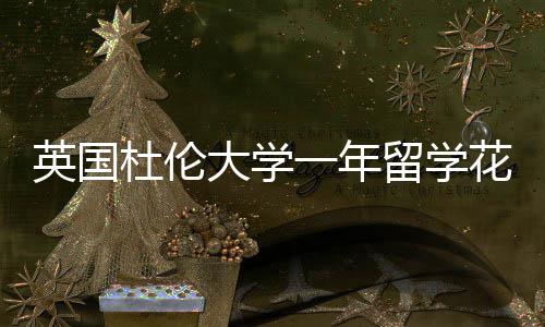 杜伦大学花费英国一年预算指南留学